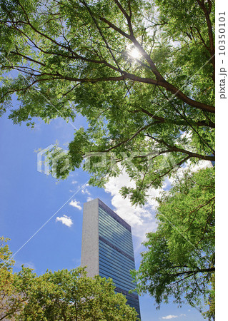 United Nations Building 10350101