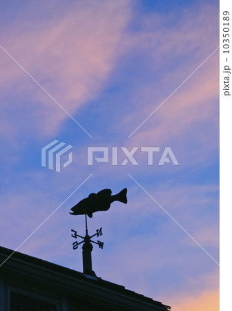 Fish weathervane 10350189