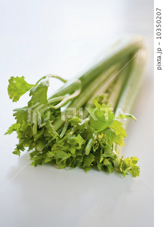 Celery Celery 10350207