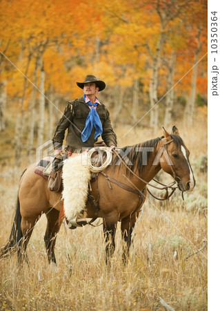 Horseback rider 10350364