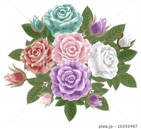 クラシックな薔薇の花束のイラスト素材