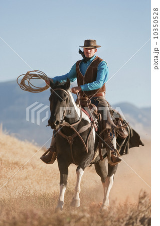 Cowboy 10350528