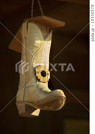 Cowboy boot bird house Cowboy boot bird house 10350579