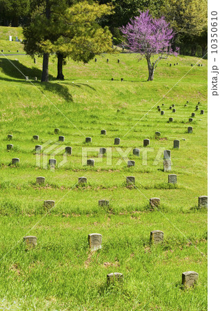 National Cemetery at Vicksburg National Military Park National Cemetery at Vicksburg National Military Park 10350610