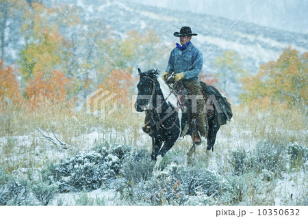 Horseback rider 10350632