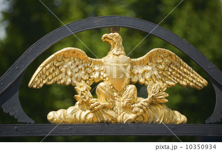 Eagle decoration Eagle decoration 10350934