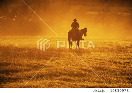 Horseback rider Horseback rider 10350978