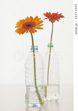 Flowers in water bottles 10351045