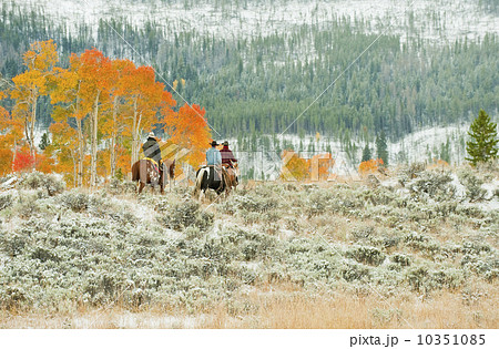 Horseback riders Horseback riders 10351085