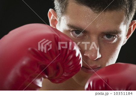 Boxer 10351184