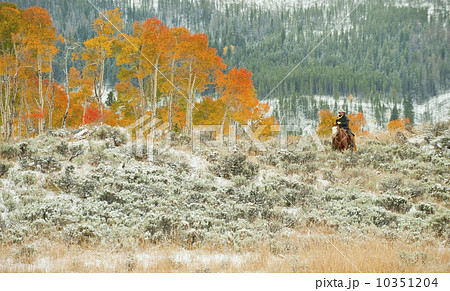 Horseback rider Horseback rider 10351204