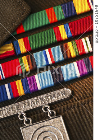 Armed services badges 10351649