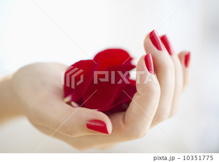 Hand holding red rose petals Hand holding red rose petals 10351775