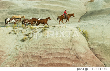 Horseback rider Horseback rider 10351830