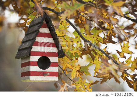 Birdhouse 10352100