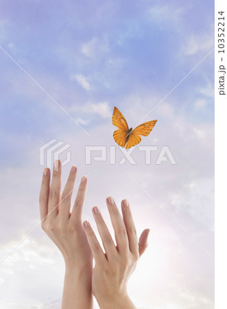 Close up of woman's hands and flying butterfly against blue sky Close up of woman's hands and flying butterfly against blue sky 10352214