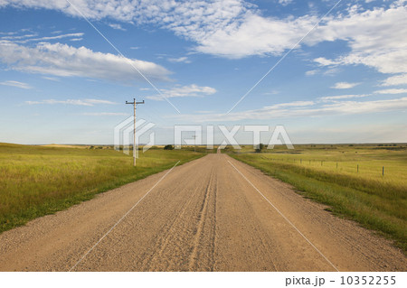 Dirt road crossing prairie Dirt road crossing prairie 10352255