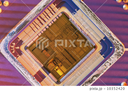 Computer chip, close-up Computer chip, close-up 10352420