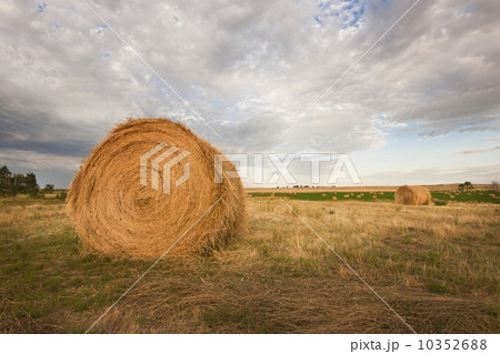 Straw bale on field Straw bale on field 10352688