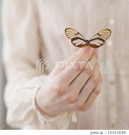 Hand holding butterfly Hand holding butterfly 10352698
