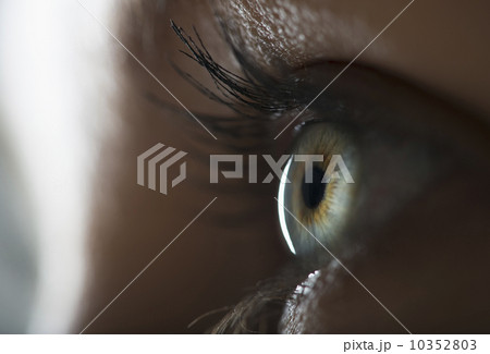 Woman's eye 10352803