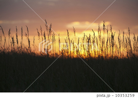 Sunset above prairie Sunset above prairie 10353259