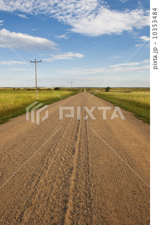 Dirt road crossing prairie 10353484