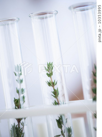 USA, New Jersey, Jersey City, Botanic laboratory USA, New Jersey, Jersey City, Botanic laboratory 10353995