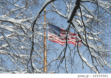 USA, New York, New York City, american flag behind winter trees 10354561
