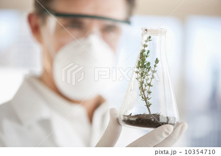 USA, New Jersey, Jersey City, Botanic laboratory 10354710