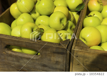 Green apples in box 10354822
