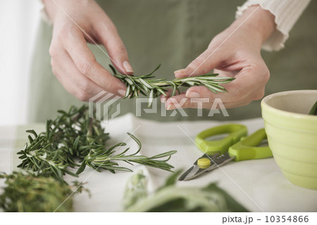 Woman preparing herbs Woman preparing herbs 10354866