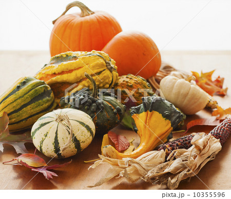 Variety of pumpkins, studio shot 10355596