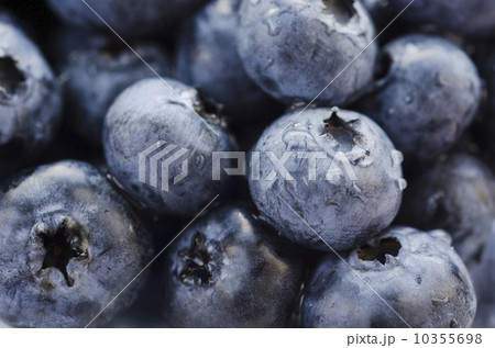 Studio shot of blueberries Studio shot of blueberries 10355698