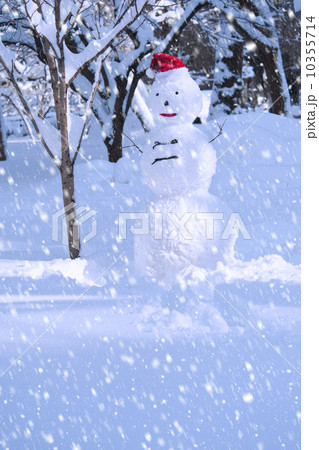 USA, New York, New York City, snowman in snowflakes 10355714