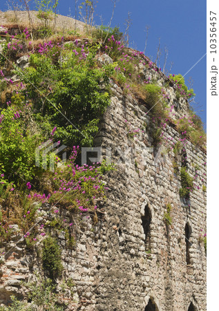 Turkey, Istanbul, old ruin Turkey, Istanbul, old ruin 10356457