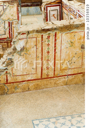 Turkey, Ephesus, Private house murals Turkey, Ephesus, Private house murals 10356919