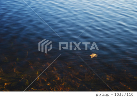 USA, Pennsylvania, Poconos, Leaf floating on water 10357110