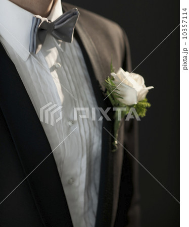 Midsection of bridegroom wearing tuxedo with boutonniere 10357114
