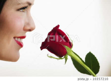 Studio shot of woman smelling red rose 10357210