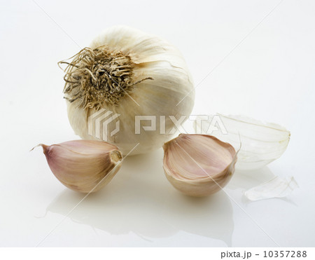 Studio shot of garlic Studio shot of garlic 10357288