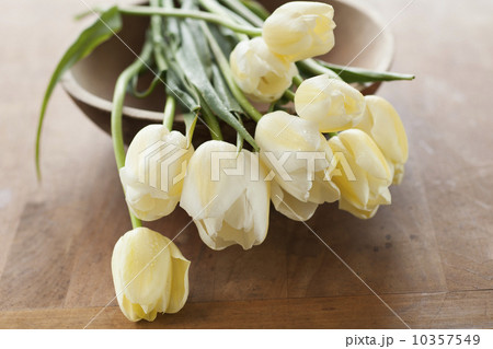 Tulips on bowl 10357549