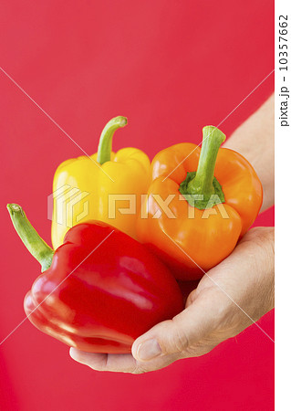 Hands holding bell peppers 10357662