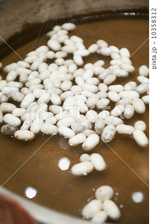 Turkey, Ephesus, Silk cocoons for rug weaving Turkey, Ephesus, Silk cocoons for rug weaving 10358312