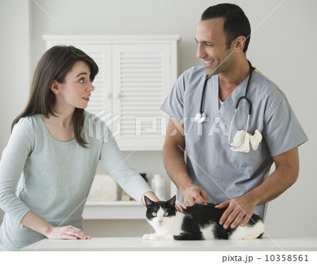 Woman and vet stroking cat in pet clinic 10358561