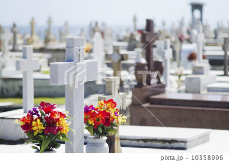 Puerto Rico, Old San Juan, Garves at Santa Maria Magdalena Cemetery Puerto Rico, Old San Juan, Garves at Santa Maria Magdalena Cemetery 10358996