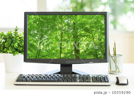 Computer screen showing greenery 10359290