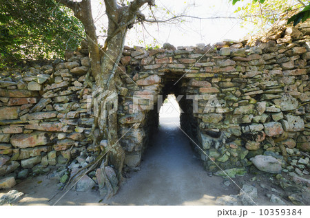 Ancient Mayan ruins 10359384