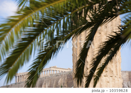 Greece, Athens, Palm fronds near Temple of Olympian Zeus 10359628