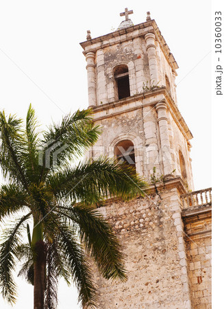 Valladolid, Bell tower and palm tree 10360033
